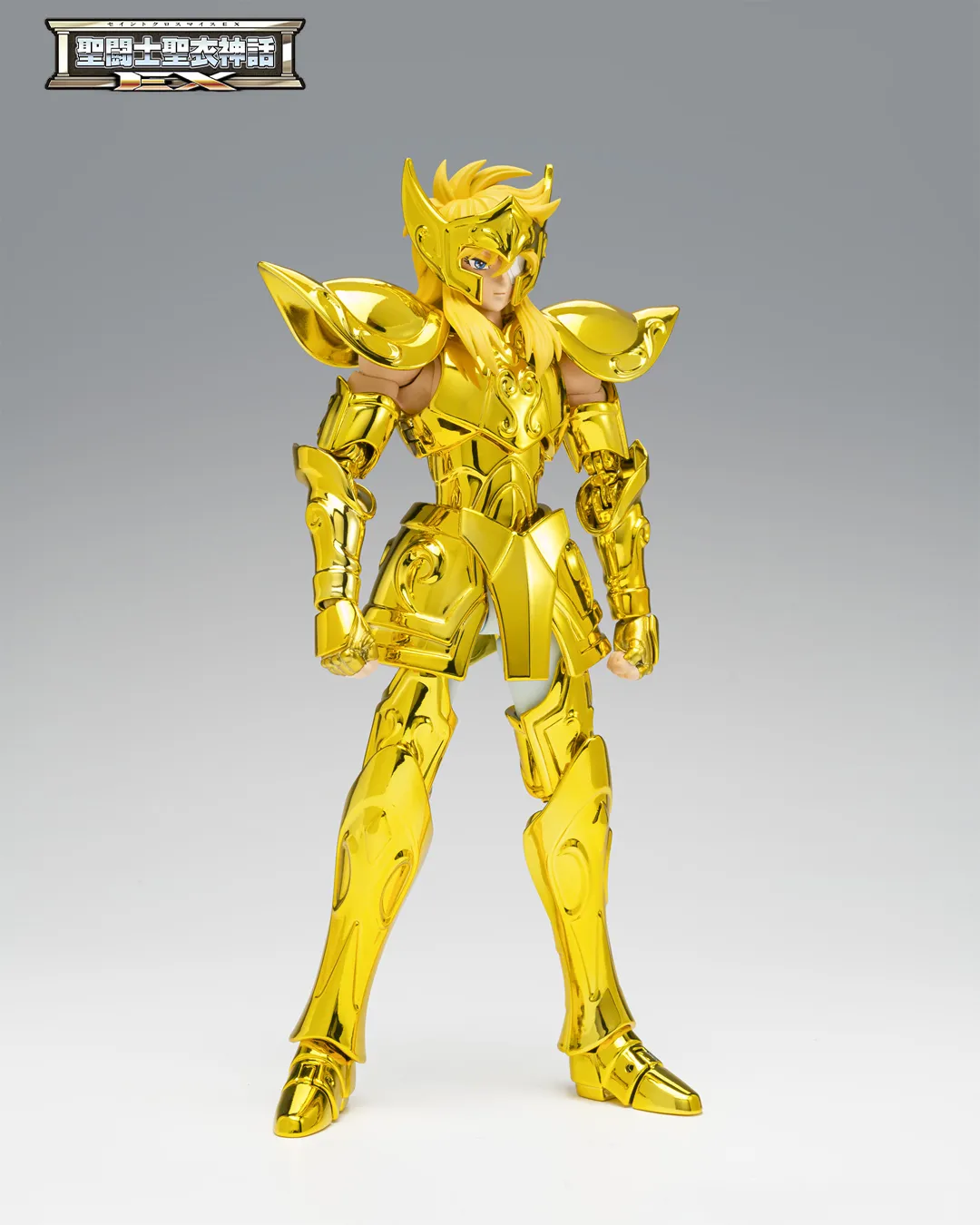 SAINT CLOTH MYTH EX AQUARIUS HYOGA -Inheritor of the Gold Cloth-