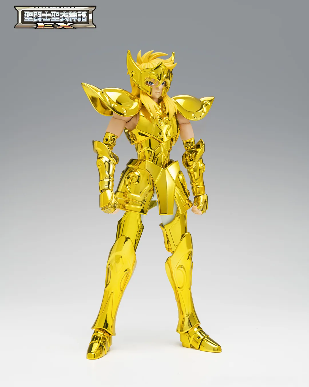 SAINT CLOTH MYTH EX AQUARIUS HYOGA -Inheritor of the Gold Cloth- - Imagen 2